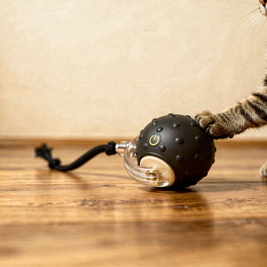 Motion-activated rolling cat toy