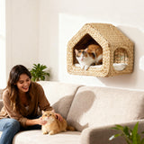 Buy 1