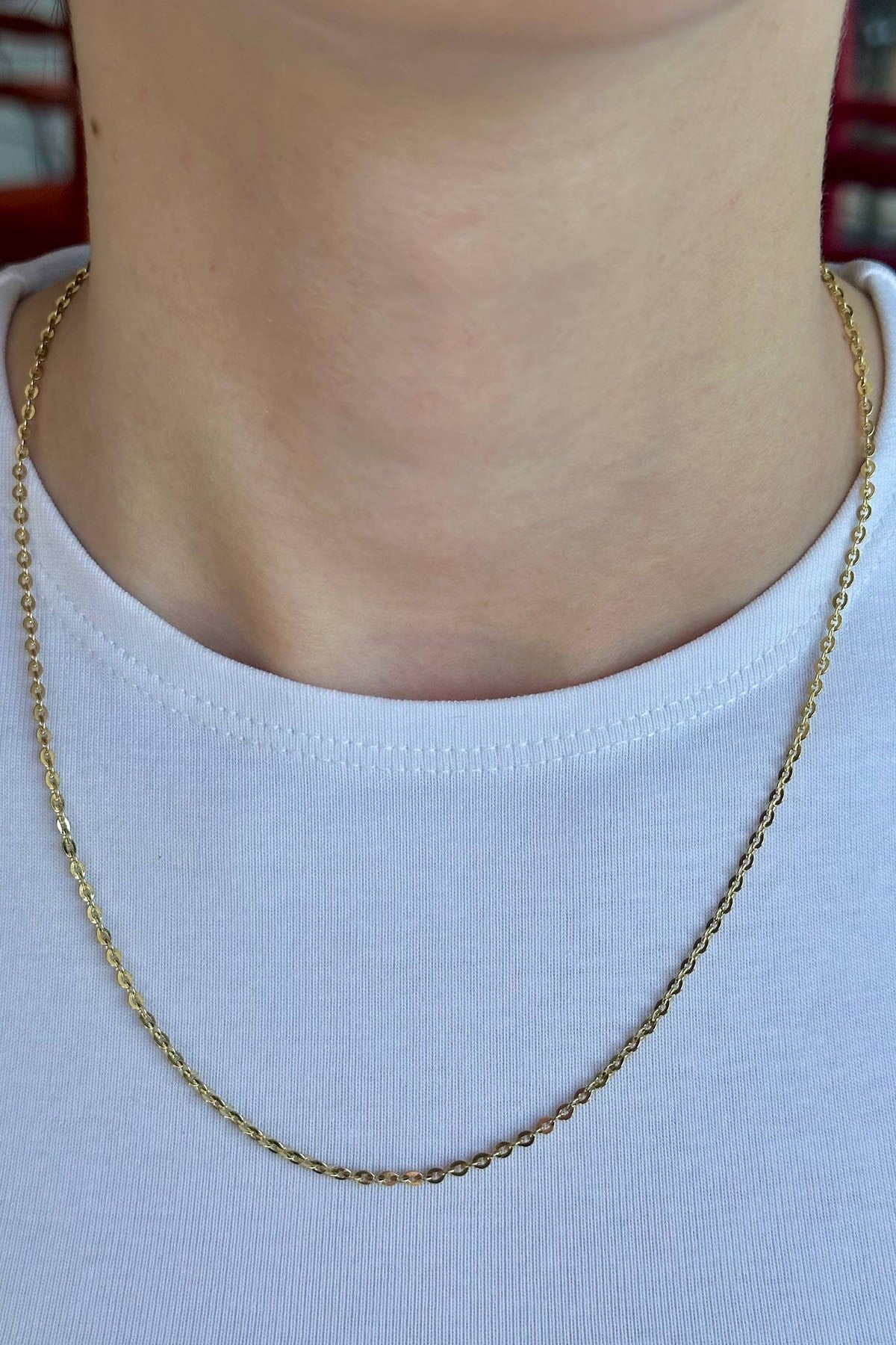 Gold-tone classic chain-link necklace