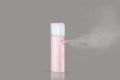 Nano Mist Facial Steamer
