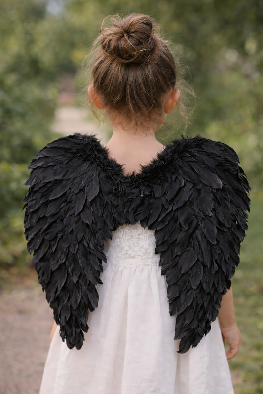 Black angel wings dress-up