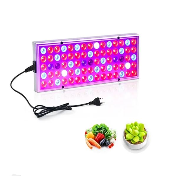 Grow light above seedlings