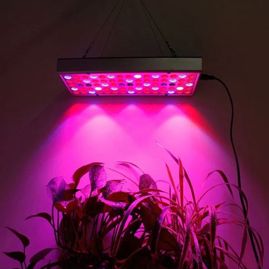 Grow light in use over plants