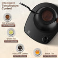 Gooseneck Electric Kettle